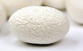 Weiße, natürliche seidenartige Textur. Handarbeit, DIY, einzigartiges organisches Muster.